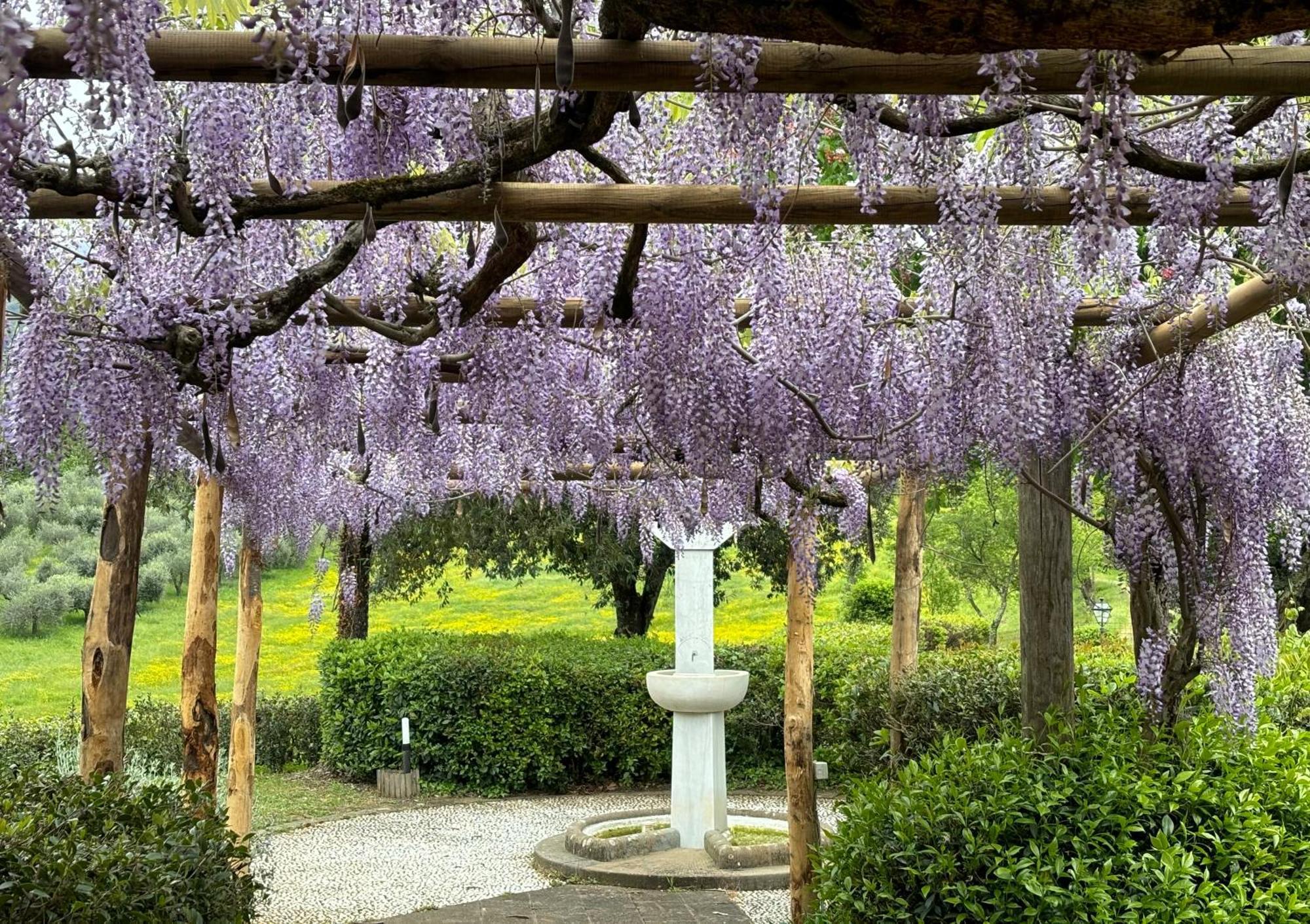 Villa Olea SantʼEllero Exterior foto